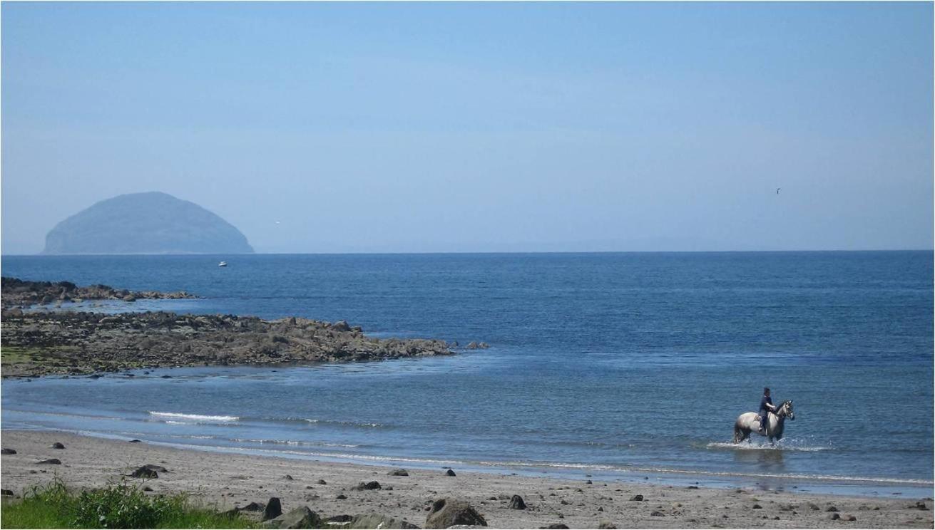 Woodland Bay Hotel Girvan Eksteriør bilde